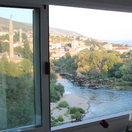 Dream View