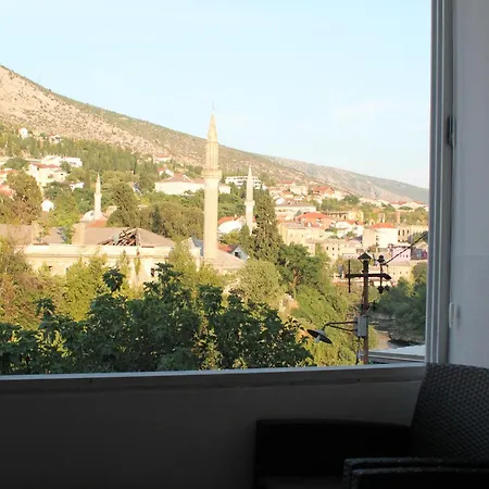 Dream View