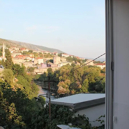 Dream View *